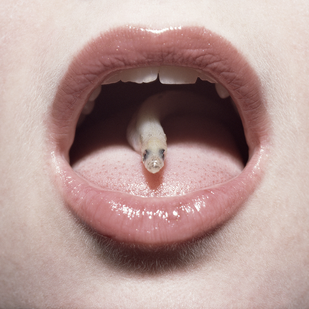 KOMMA_CORNELI_TOLLENS_HARD_LOVE_1000_003